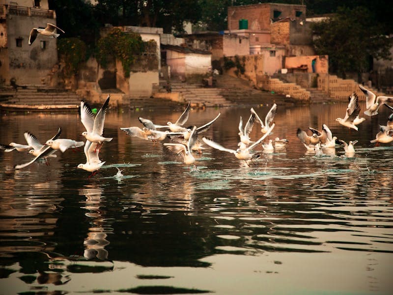 عطبرة
