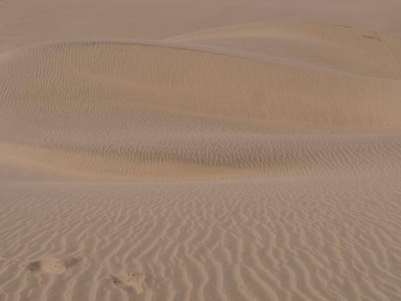 نيالا